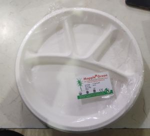 DISPOSABLE  PLATE WT11KHANA24X25