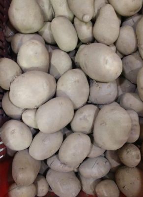 ALU LOCAL