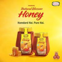 ZB AGARBATTI 3IN1 Rs25